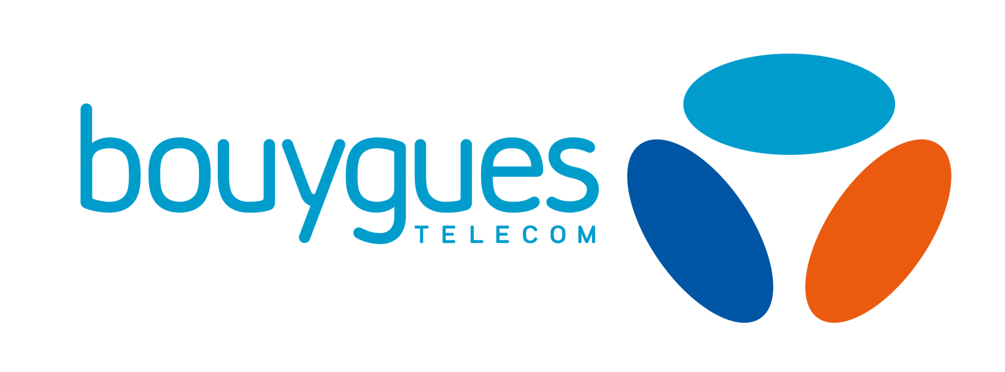 Logo de Bouygues : Partenaire d'Espace Vocal